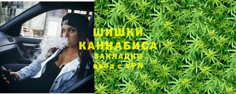 Марихуана OG Kush  Бобров 